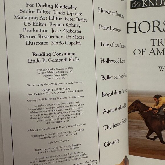 Kids Level 4 DK Readers, Horse Heroes and Dino Detectives Books (SKU: 167MI) - Picture 4 of 6